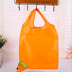 Fold Up Bag