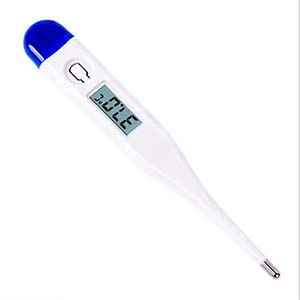 Digital Thermometer